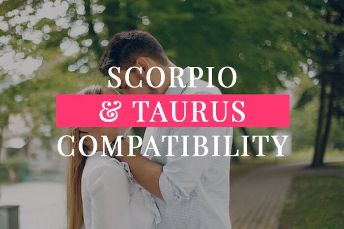 Do Scorpios like Taurus? | My Zodiac Lover